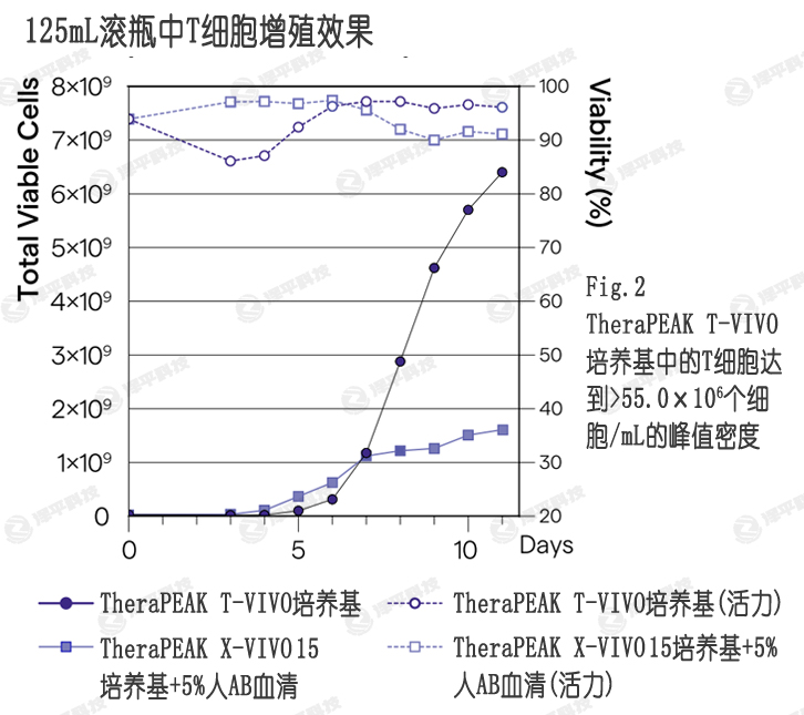 T-VIVOB(yng)ѪX-VIVO 15B(yng)ṩߵļ(x)a(chn)ͻ ƽ