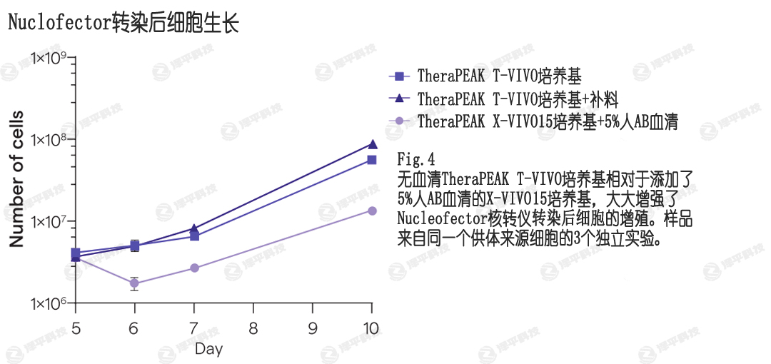 NucleofecterD(zhun)ȾT-VIVOB(yng)ṩߵD(zhun)Ⱦ(x)ֳ ƽ